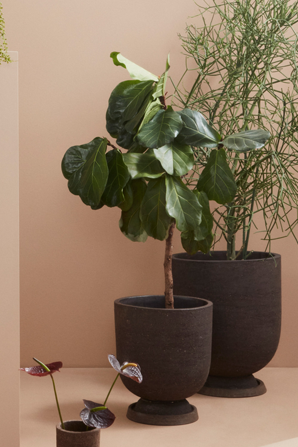 TERRA flowerpot saucer